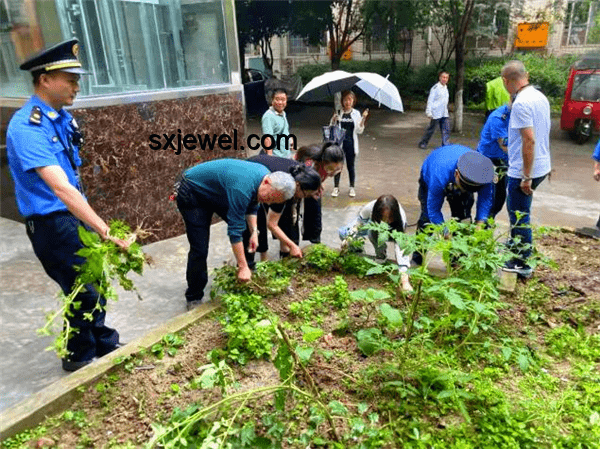 临江仙开播遇到的技术与宣传问题解决方案
